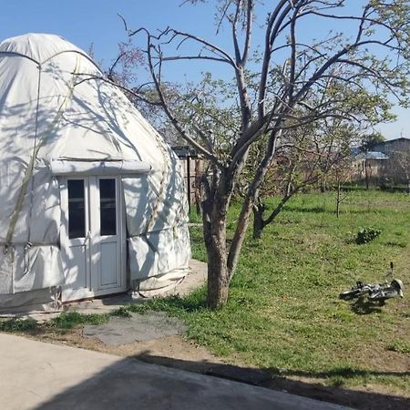 Yurt Stay In Downtown Каракол Экстерьер фото